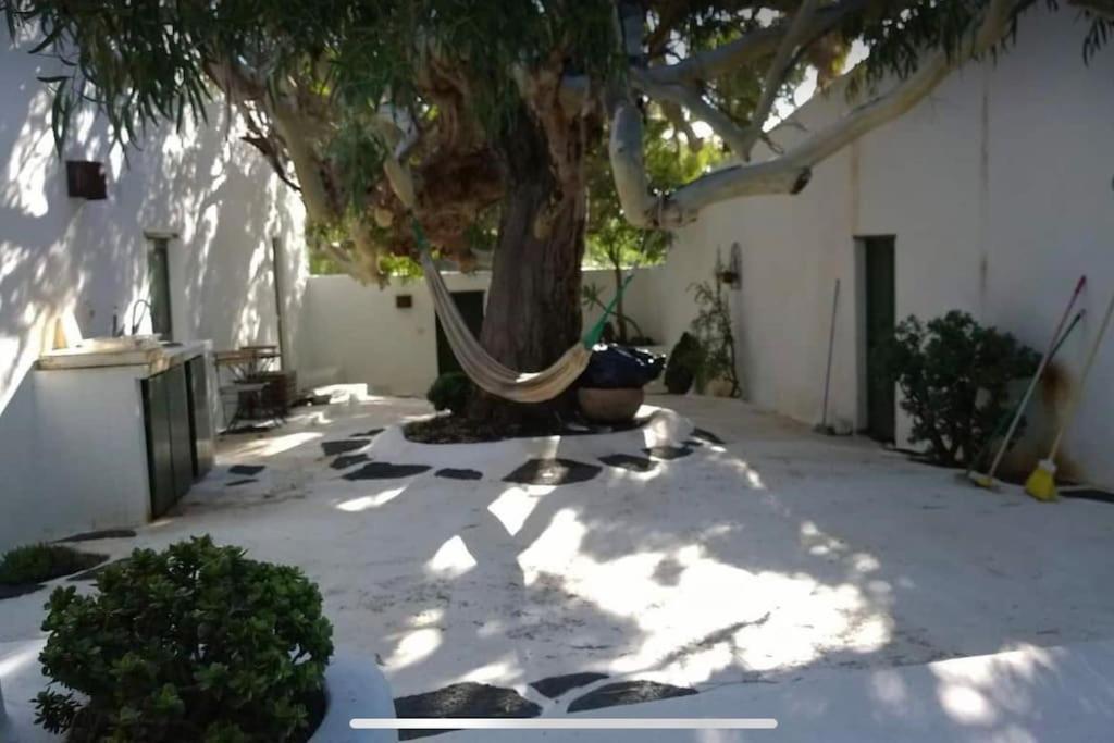 Lovely Studio In Original Finca La Asomada  Luaran gambar